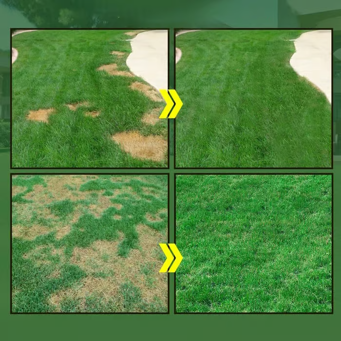 Easy Spray-On Grass Seed & Fertilizer Solution - Instantly Restore Thicker, Greener Lawns in Days