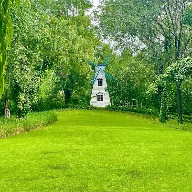 Easy Spray-On Grass Seed & Fertilizer Solution - Instantly Restore Thicker, Greener Lawns in Days