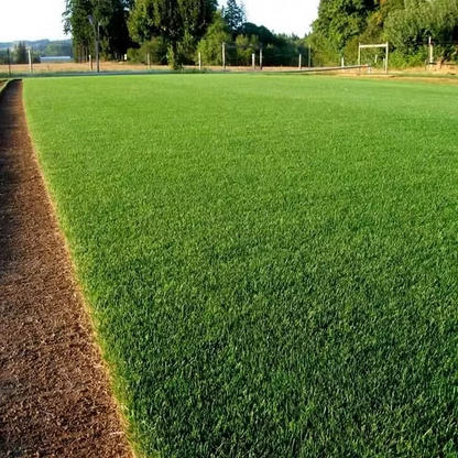 Easy Spray-On Grass Seed & Fertilizer Solution - Instantly Restore Thicker, Greener Lawns in Days