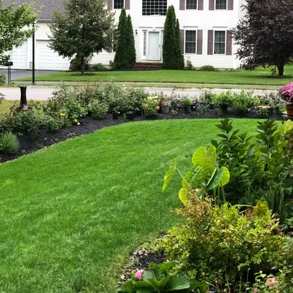Easy Spray-On Grass Seed & Fertilizer Solution - Instantly Restore Thicker, Greener Lawns in Days